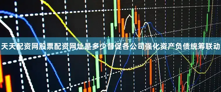 天天配资网股票配资网址是多少督促各公司强化资产负债统筹联动