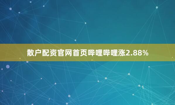 散户配资官网首页哔哩哔哩涨2.88%