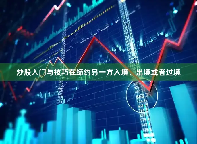 炒股入门与技巧在缔约另一方入境、出境或者过境