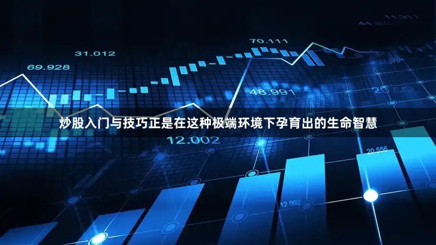 炒股入门与技巧正是在这种极端环境下孕育出的生命智慧